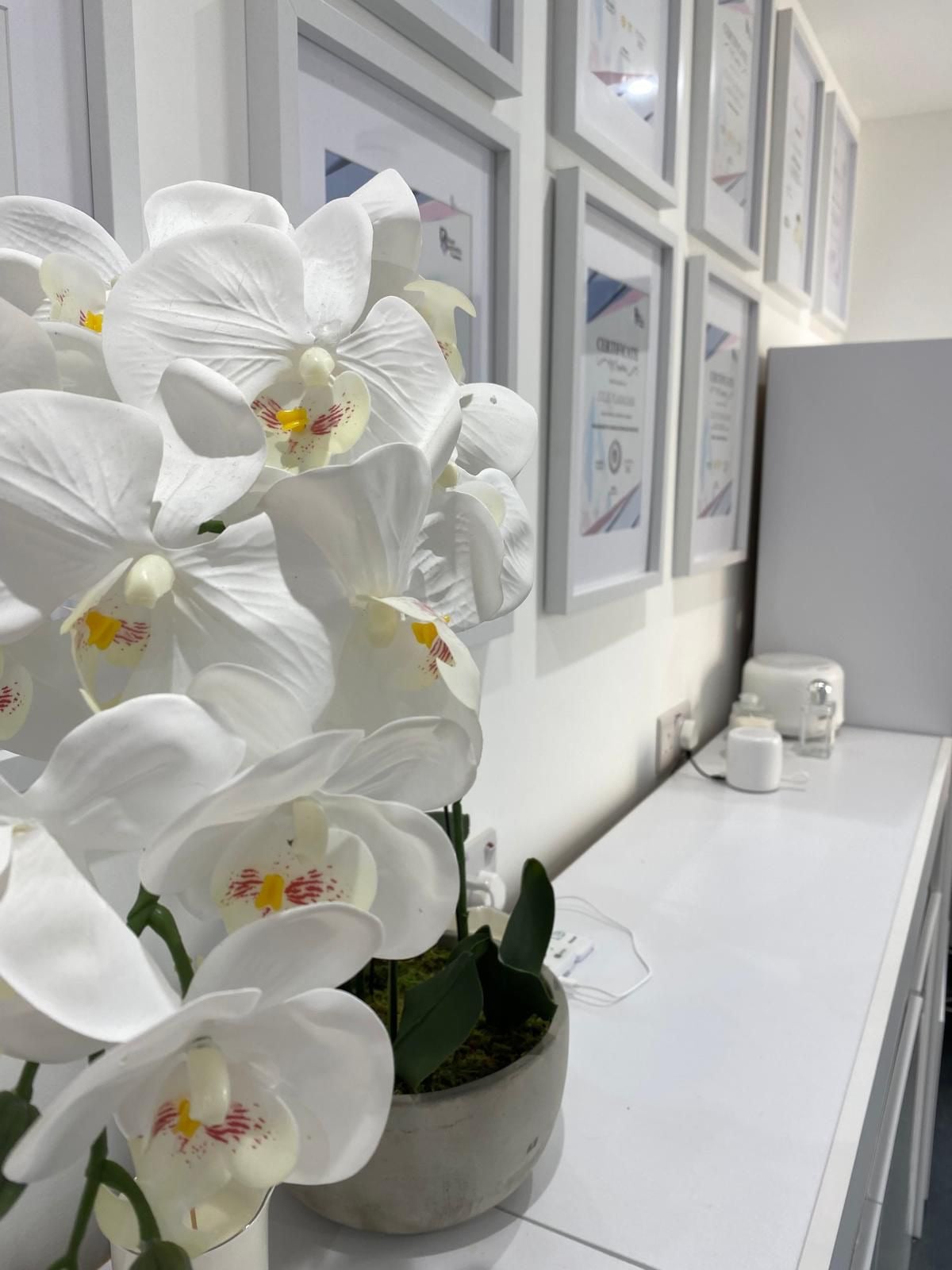 White orchid arrangement